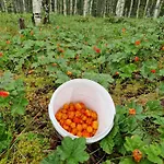 Syoetteen Helmi - Loistosijainti! Syöte
