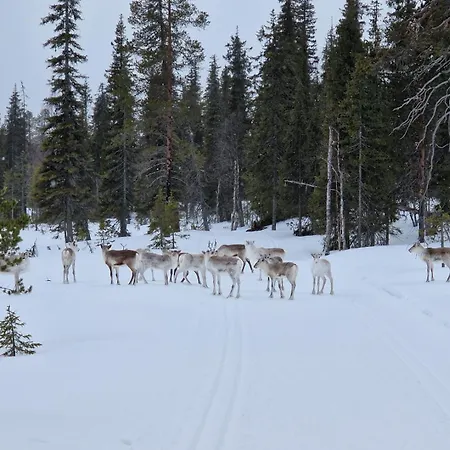 Syoetteen Helmi - Loistosijainti! 别墅