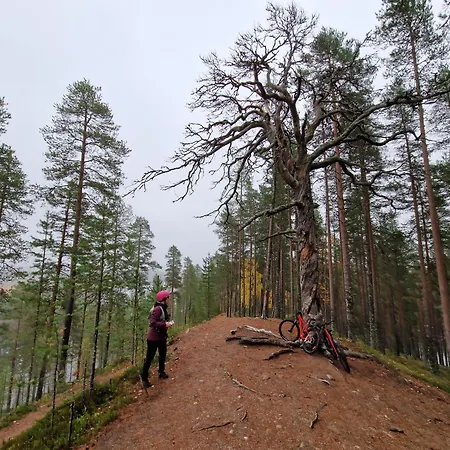 别墅 Syoetteen Helmi - Loistosijainti!