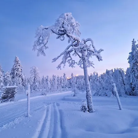 Willa Syoetteen Helmi - Loistosijainti!